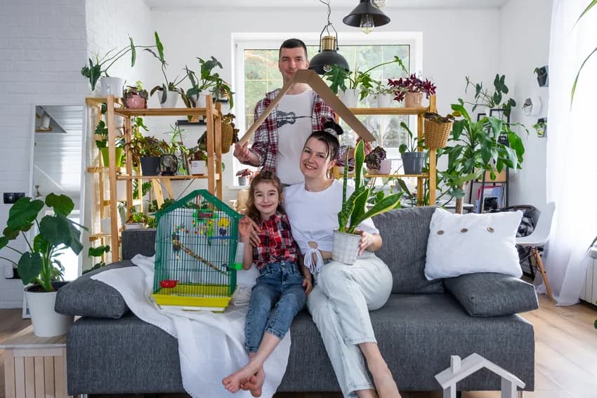 Huisisolatie met WattZo